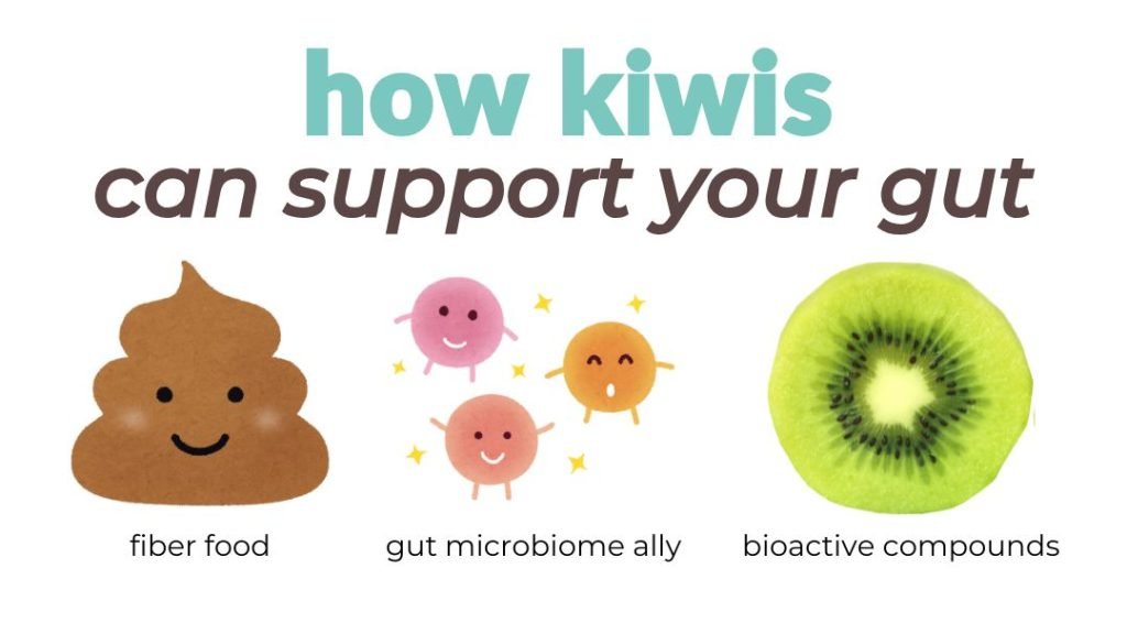 image on left: is a cartoon poop emoji with text saying fiber food 
image in middle: cartoon bacteria with text saying gut microbiome ally
image on right: a kiwi slice with text bioactive compounds